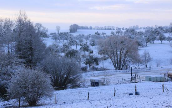 Jour de neige dans mon bled de Normandie neige11