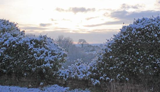 Jour de neige dans mon bled de Normandie neige06