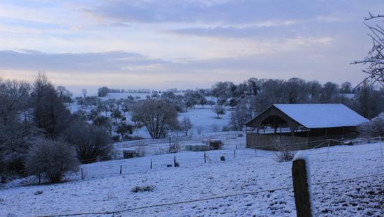 Jour de neige dans mon bled de Normandie neige10