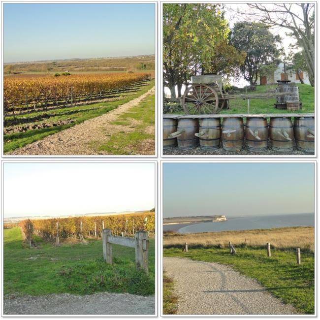 Falaise Talmont/Barzan Falaise Talmont/Barzan