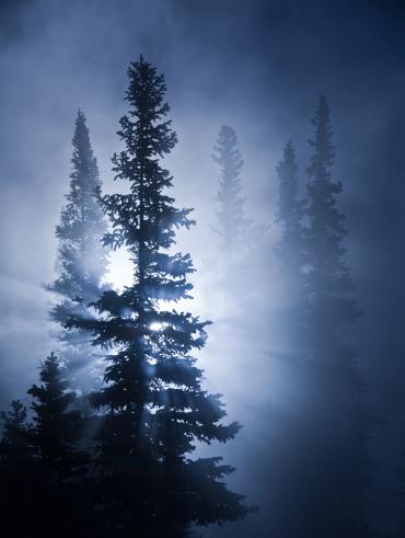 Click for a larger view Paul Zizka