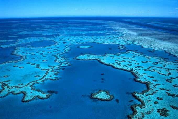 Australie : CAP sur la grande barrière de Corail image
