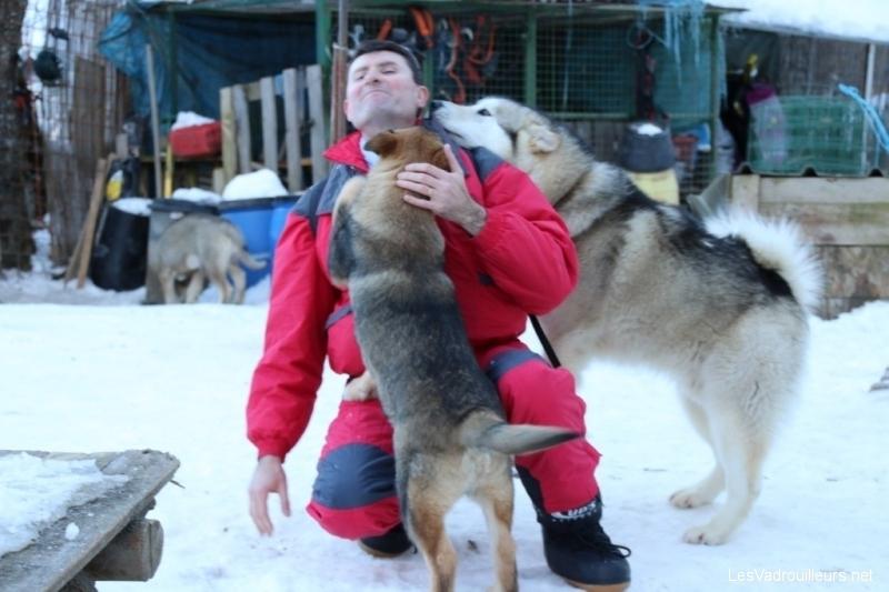 Des chiens affectueux ... Des chiens affectueux ...