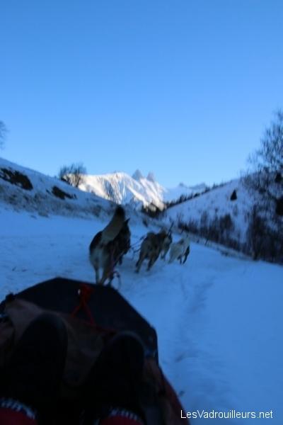 ça file en chien de traineau ... ça file en chien de traineau ...