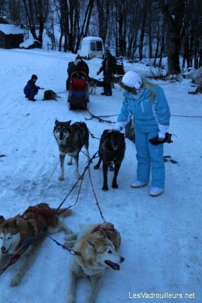 Caresses aux chiens en fin de balade Caresses aux chiens en fin de balade