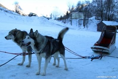 Notre traineau est prêt Notre traineau est prêt