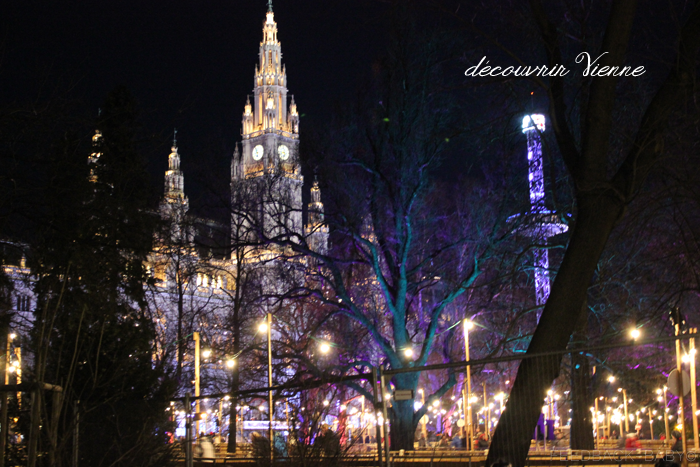 Janvier en 10 photos. Positiver pendant l'hiver à Budapest. Janvier en 10 photos. Positiver pendant l'hiver à Budapest.