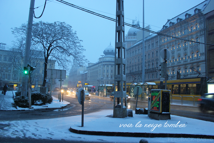 Janvier en 10 photos. Positiver pendant l'hiver à Budapest. Janvier en 10 photos. Positiver pendant l'hiver à Budapest.