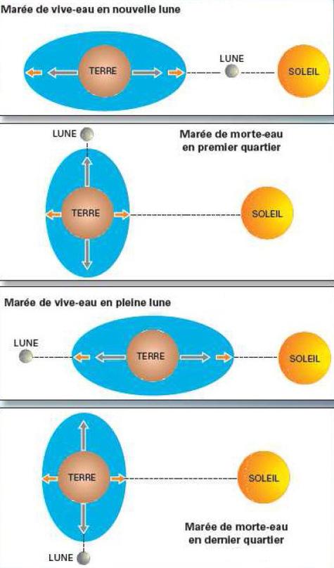 Les scientifiques mettent en garde en prévision de la « marée du siècle » lune