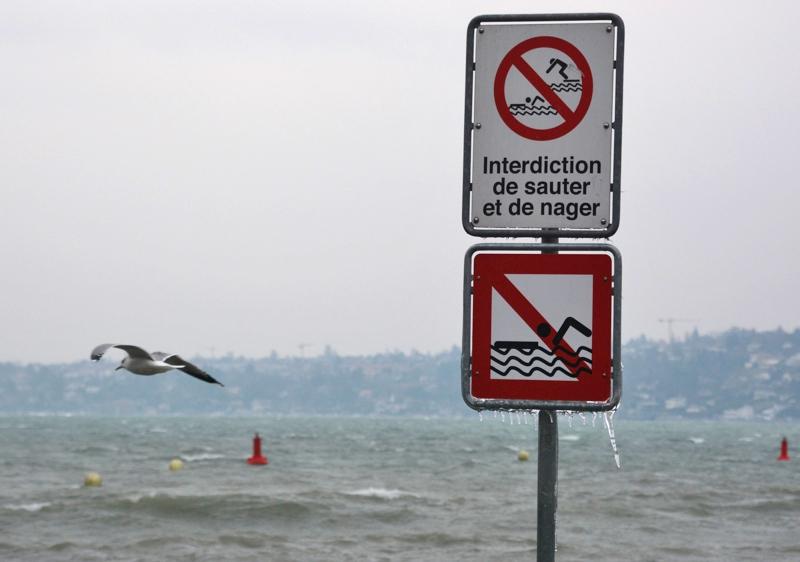 Brrr...ça caille! 1167-sssssssss.jpg