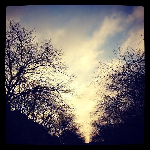 La semaine des belles découvertes #365photosduquotidien Un nouveau jour se lève (6 février)
