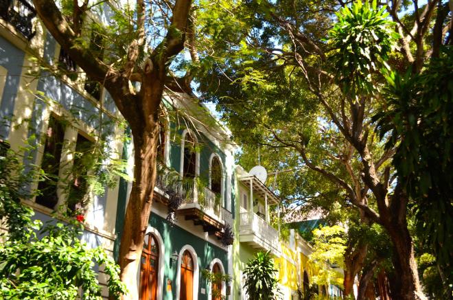 Hola San Juan, Puerto Rico catstreet2