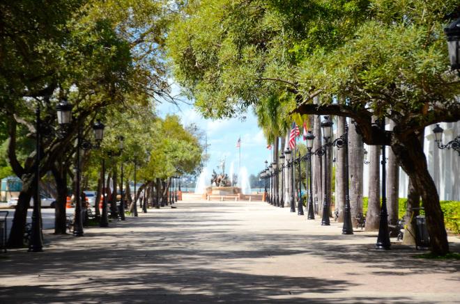 Hola San Juan, Puerto Rico alleytree