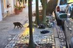 Hola San Juan, Puerto Rico Hola San Juan, Puerto Rico