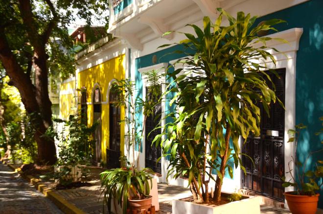 Hola San Juan, Puerto Rico catstreet3