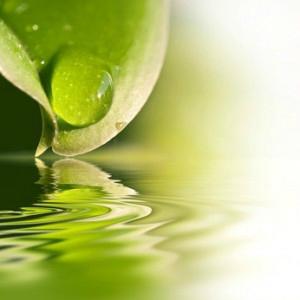 Aspect vibratoire des huiles essentielles???? effet