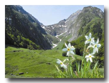 Luchon. Reine des Pyrénées Luchon. Reine des Pyrénées