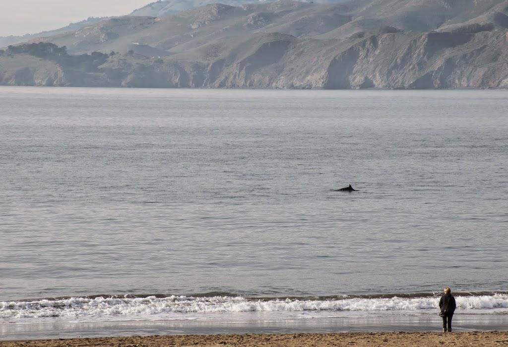 Le Castro & Baker Beach à San Francisco Le Castro & Baker Beach à San Francisco