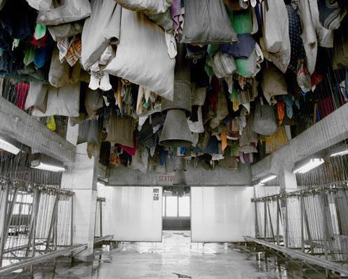 La photographie du jour Darek Fortas