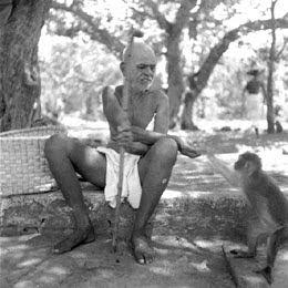 ramanamaharshi_with_monkey