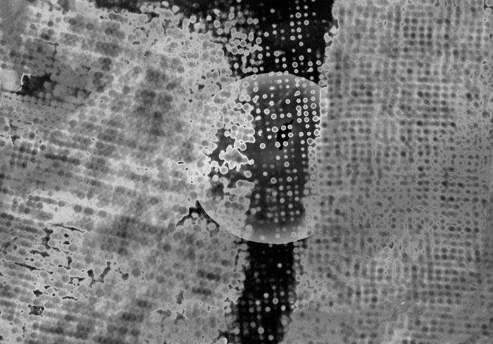 Beauté détournée : sculpture de photographie expérimentale Beauté détournée : sculpture de photographie expérimentale