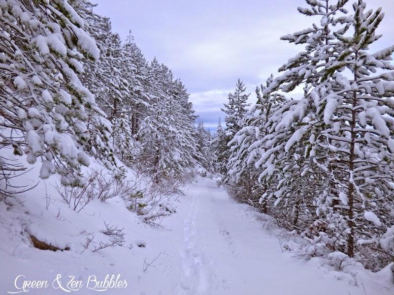 Le chemin qui mène à la forêt Le chemin qui mène à la forêt