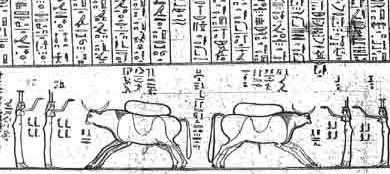 Une divinité à l'histoire mouvementée, Anty le taureau écorché... (4) en Égypte antique ! Une divinité à l'histoire mouvementée, Anty le taureau écorché... (4) en Égypte antique !