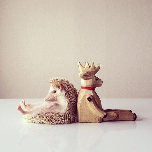 Inspirations #5 Inspirations #5