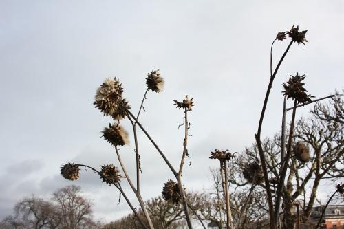 Tendres feuillages Tendres feuillages