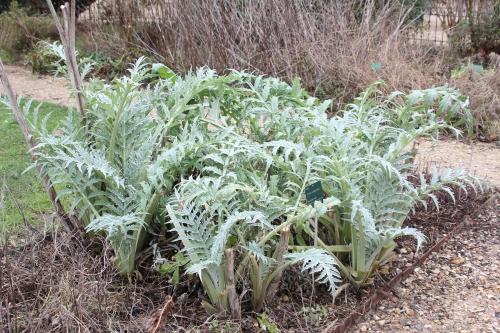 Tendres feuillages Tendres feuillages
