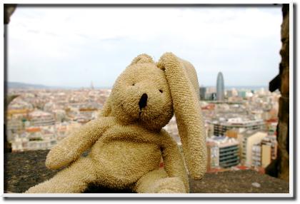 Iberia, c’est mucho low cost