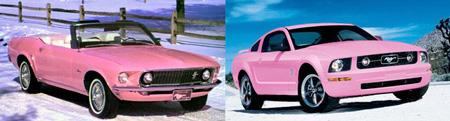 mustangroses