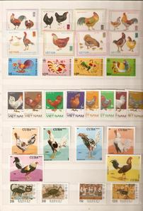 Poème libre : Poulets americains Poème libre : Poulets americains