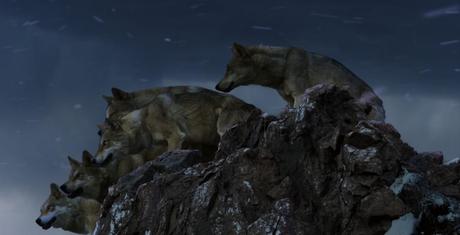 le dernier loup 8 Le Dernier Loup, critique