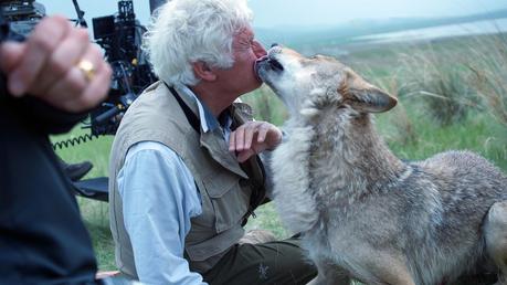 CINEMA: Le Dernier Loup (2015), danse avec la nature / Wolf Totem (2015), dance with the nature.