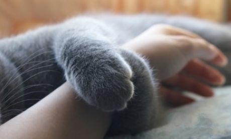 Plaisirs pour les yeux #1.... les mains sont le reflet de l'âme Plaisirs pour les yeux #1.... les mains sont le reflet de l'âme
