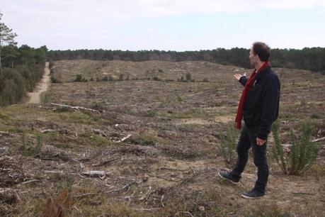Charente-Maritime : un bivouac dans la forêt de la Coubre contre la coupe d'arbres