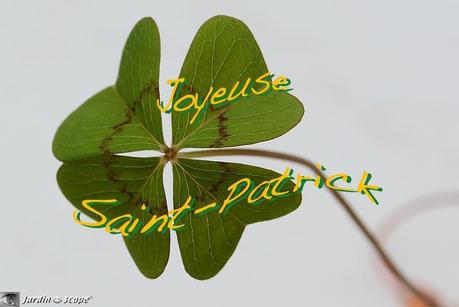Joyeuse-Saint-Patrick