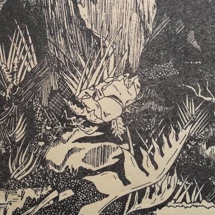 Forêt des songes Forêt des songes