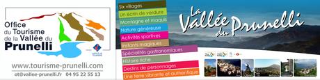 Une plante très design Office de tourisme de la vallée du Prunelli
