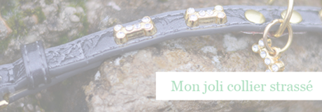 Mon collier chic et strassé de chez Made in Dog Mon collier chic et strassé de chez Made in Dog