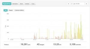 Fitbit prend votre activité en … charge Analyser mes activités sur Fitbit - Google Chrome