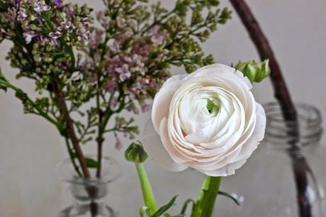 Lilas et renoncules Justine Hand pour Gardenista via Nat et nature Quelles fleurs choisir pour un bouquet de printemps ?