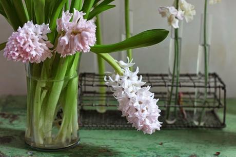 Jainthes coupées Justine Hand pour Gardenista via Nat et nature Quelles fleurs choisir pour un bouquet de printemps ?