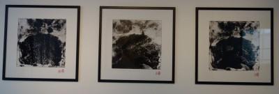 La Collection à la Fondation François Schneider de Wattwiller Meei Ann Liu, Recherches photographiques