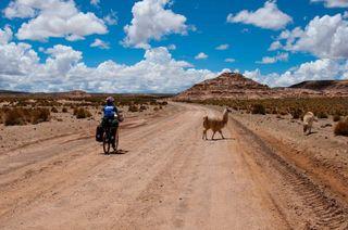 Salar-freeride-41 Salar-freeride-41