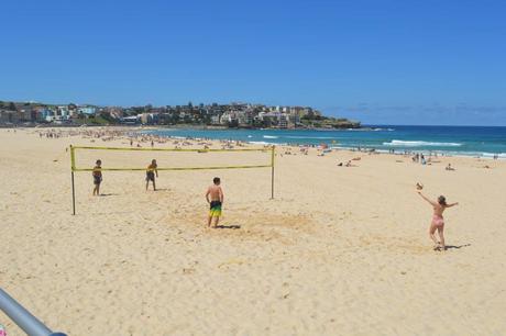 Mon séjour à Sydney en Australie 10393679_437958856361358_4094834943526719032_n