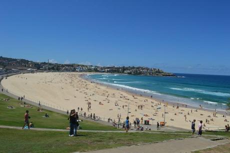Mon séjour à Sydney en Australie 11021210_437958819694695_2273231275787114448_n