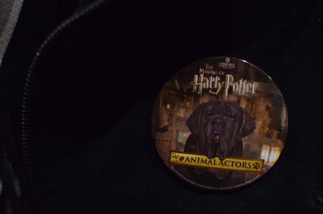 Une visite dans les studios Harry Potter studio harry potter