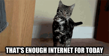 Une neutralité du Net pas très nette cat enough internet